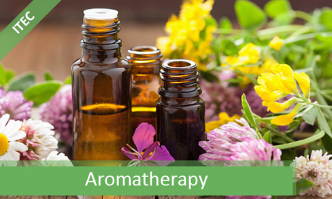 Vtct(itec) level 3 diploma in aromatherapy treatment  (芳香疗法国际大专专业文凭第三级)