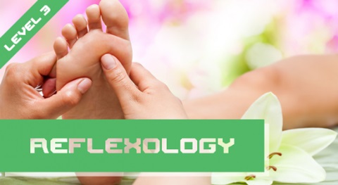 Vtct(itec) level 3 diploma in  reflexology treatment( 反射疗法国际大专专业文凭第三级)